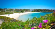portoscuso, spiaggia di porto paglietto, fiori di calsera mare vacanze sardegna bed and breakfast sa cruxitta